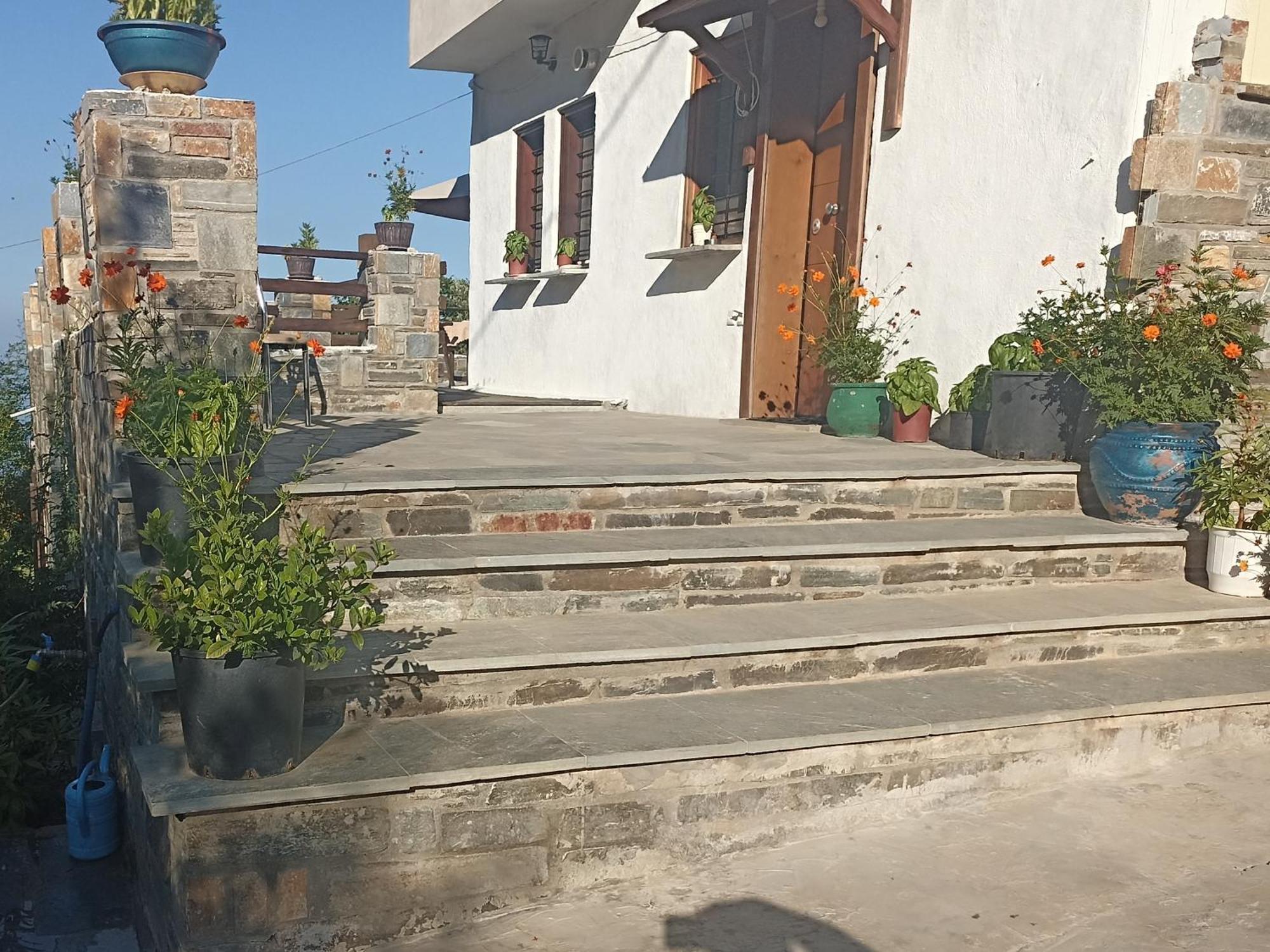 Apartments Spiros Pelion Kalamaki  Room photo