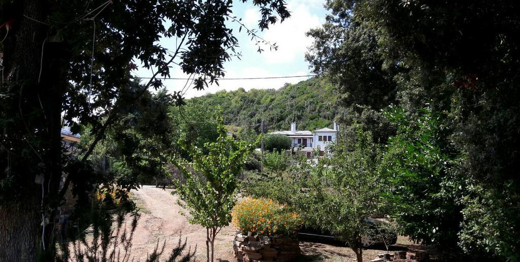 Apartments Spiros Pelion Kalamaki  Exterior photo